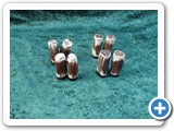 Salt and Pepper Pots �21.00